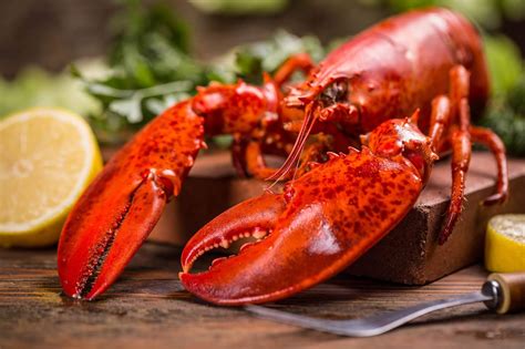 Como Se Llama Lobster En Espanol at Kenneth Neilson blog