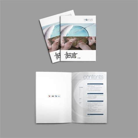 期刊/杂志设计-能源公司内刊版式优化设计|平面|书籍/画册|dongzouxigu - 原创作品 - 站酷 (ZCOOL)