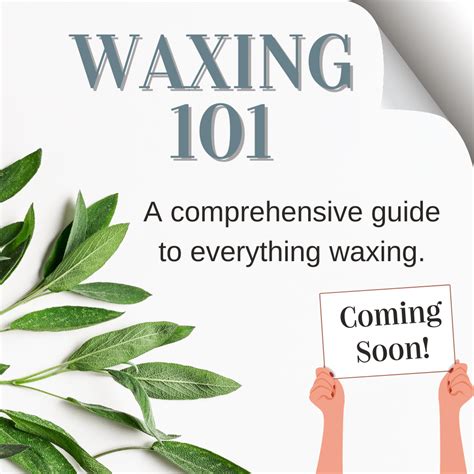 Image result for Hive Cosmetics Tutorial