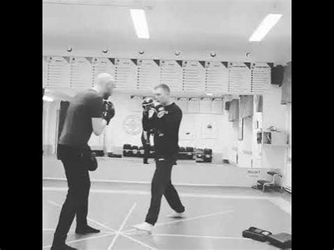 Systema 的图像结果