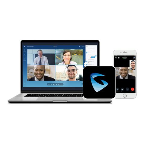 Grandstream Wave 的图像结果