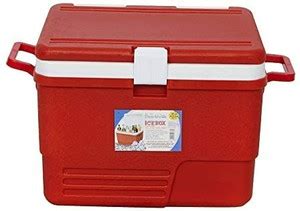Regalo Insulated Chiller 25 liters Blue Ice Cooling Box (Red) Icebox ...