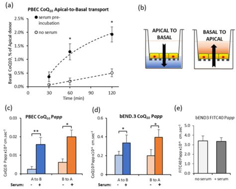 JCM | Special Issue : Coenzyme Q10 in Mitochondria and Lysosomal Disorders