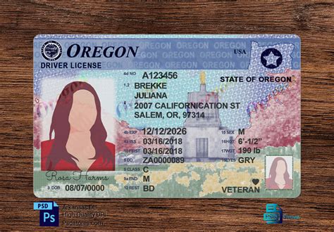 Oregon Driver License Template - PSD Stores