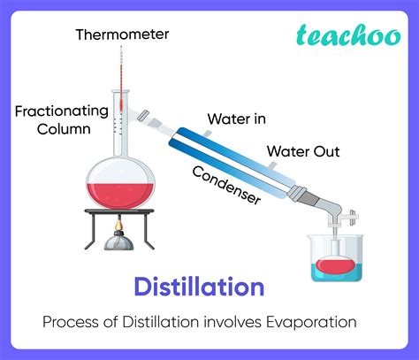 11+ Examples of Evaporation in our daily life (Explained!) - Teachoo