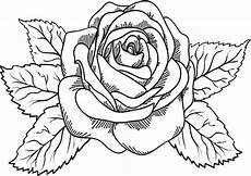 blumen malvorlagen kostenlos zum ausdrucken jung blumen 2 ausmalbilder malvorlagen blumen malvorlagen kostenlos zum ausdrucken jung blumen 2 ausmalbilder malvorlagen
