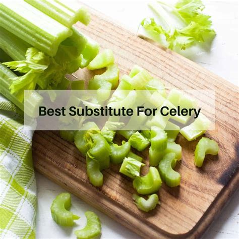 18 Best Celery Substitute For Soups, Salads, And Stuffing - Fit Meal Ideas