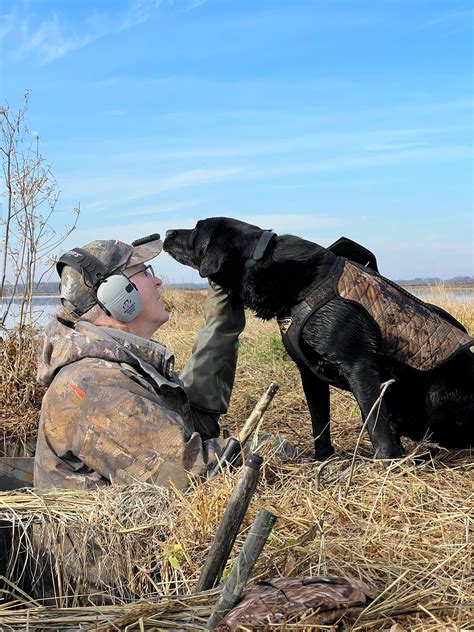 Inman Animal Hospital Patient Gallery | Vet Clinic In Inman, SC 29349