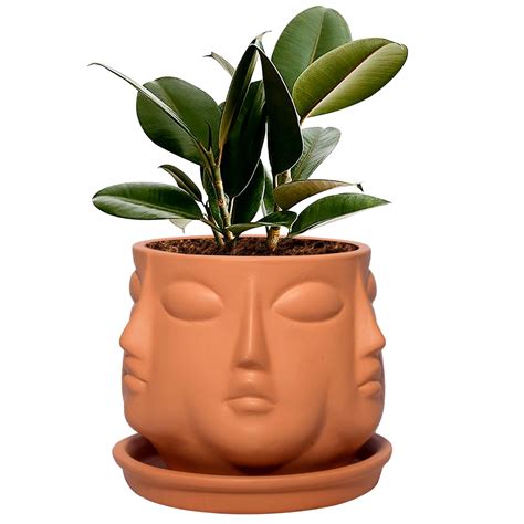 Lasaki Vivan Ceramic Pot with Saucer Plate Tray for Indoor Plants ...