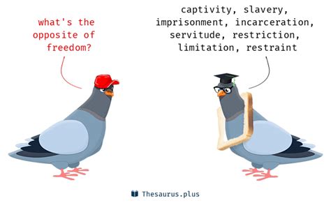 41 Freedom Antonyms. Full list of opposite words of freedom.