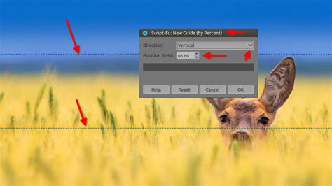 Image result for Photo Stacking Using GIMP