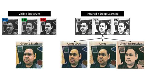 Image result for Image Visualization