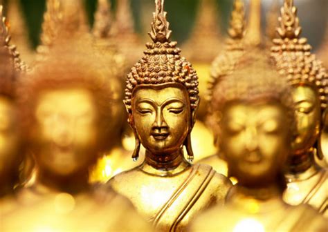 “数字佛教”助益弘法修行 佛门子弟眼中的数字中国峰会-佛教导航