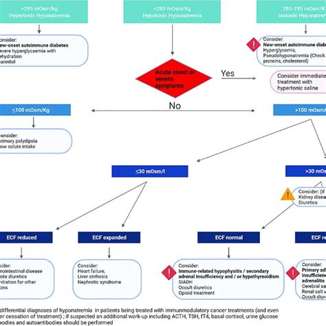 Hyponatremia Algorithm 的图像结果