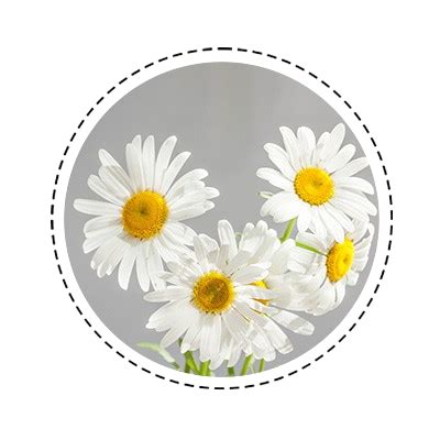 Best Diaper Rash Cream for Newborns| Nappy Rash Cream - CITTA