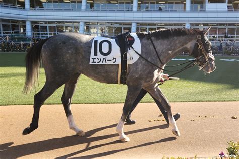 Embark | Horse Profile, Pedigree, Form, Race Record - netkeiba