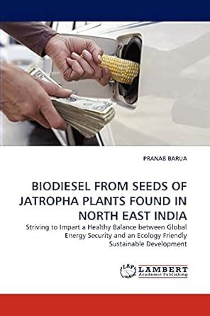 Biodiesel from Seeds of Jatropha Plants Found in North East India ...