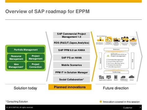 Image result for PPM SAP Structure Portfolio
