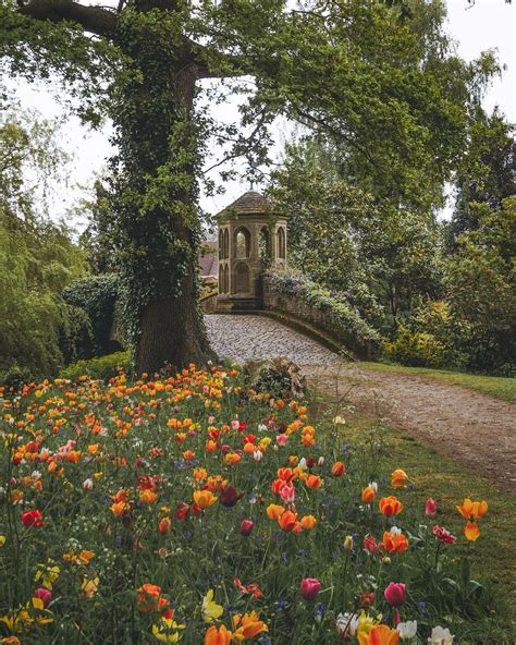 Image result for Sesame Tree Tumblr