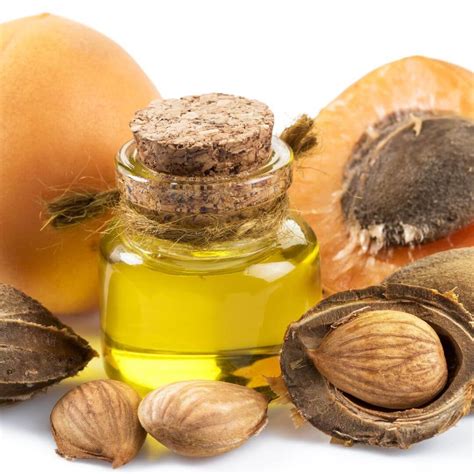 Buy Pure Apricot Kernel Oil | Cold Pressed | Carrier Oil | Soapy Twist
