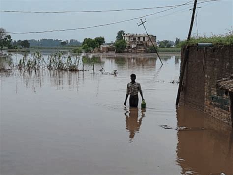 Ghonewal Dam submerges Amritsar; Lifelong savings washed away in 15 ...