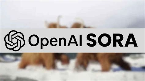 SQL Program Test 的图像结果