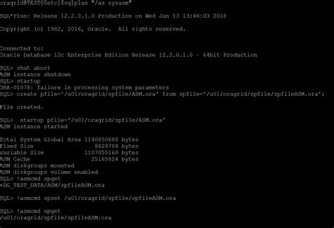 Oracle ASM Tutorial 的图像结果