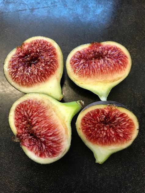 Black Madeira — french fig farm