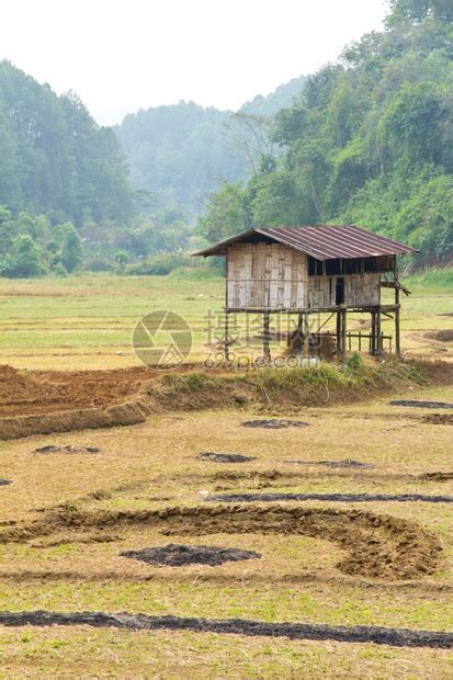 庄稼 的图像结果