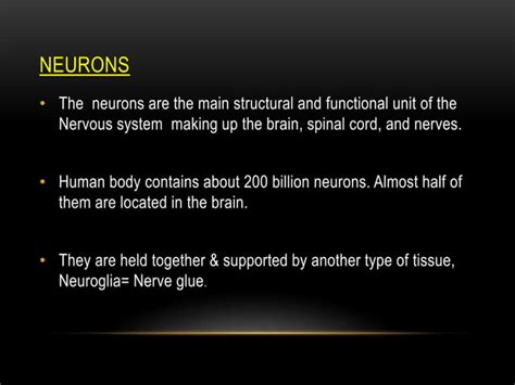 Image result for Nervous System Introduction