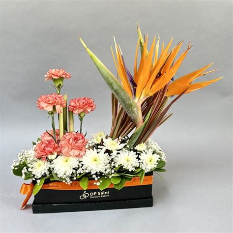 Carnation & BOP in Box - DP Saini Florist & Baker's