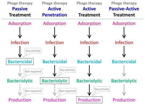 Phage-Antibiotic Combination Treatments: Antagonistic Impacts of ...
