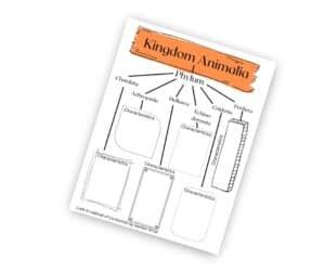 Image result for 11 Study of Animal Jr Tutorial