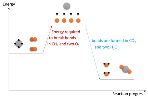 5.1 Exothermic and endothermic reactions – IGCSE and A Level Chemistry ...