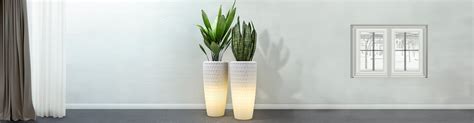 Illuminated Planters | Led Planters | Buy Led Planter & Pots Online
