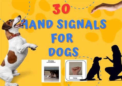 Image result for Common Hand Signals for Dogs Sheet