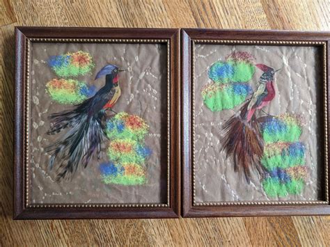 Multimedia Projects 的图像结果