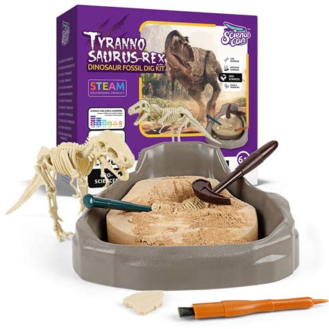 Buy Science CanDinosaur Fossil Dig Kit for Kids, Dinosaur Digging Kit ...