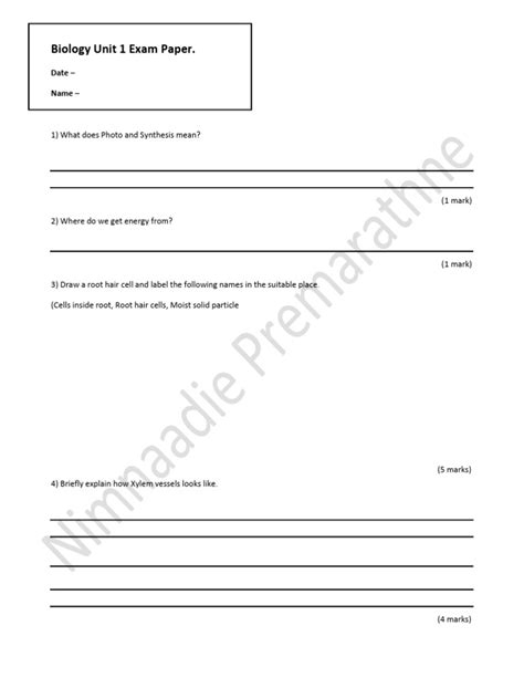 Image result for Test Paper PDF