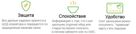 Школьное питание Ладошки: личный кабинет, счет, функции