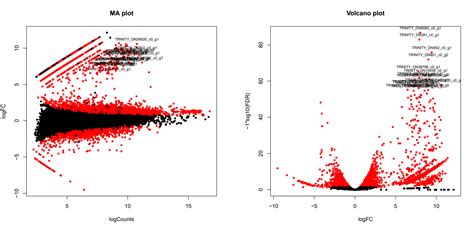 Transcriptome Analysis Image 的图像结果