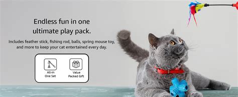Amazon Basics Cat Toy Set | 13 Interactive Toys | Spring Mouse ...