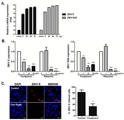 Favipiravir and Ribavirin Inhibit Replication of Asian and African ...