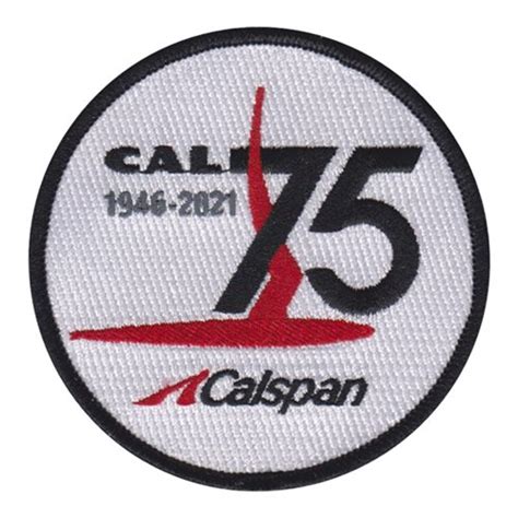 Image result for Calspan Target