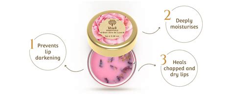 Buy Khadi Essentials Wine Grapefruit Lip Balm For Dry, Damaged and ...