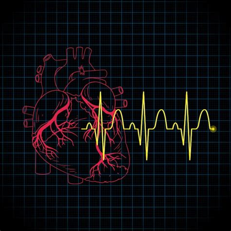 Heartbeat Images - Free Download on Freepik
