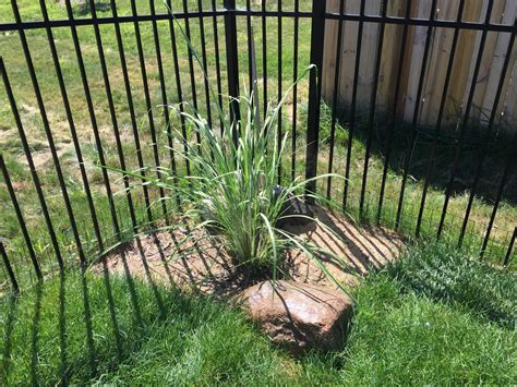 How to Mulch Beds 的图像结果