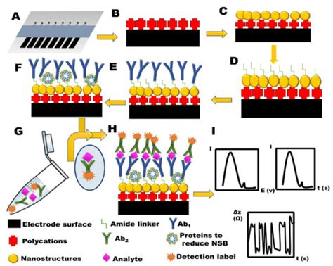Biosensors | Special Issue : Dedication to Professor Agustín Costa ...
