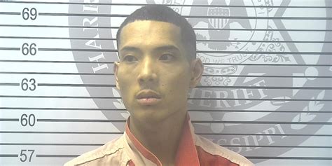 D’Iberville PD: Man arrested on domestic violence, felony eluding charges