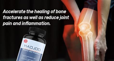 Vitaminhaat Hadjod Cissus Quadrangularis - Joint Wellness Supplement ...